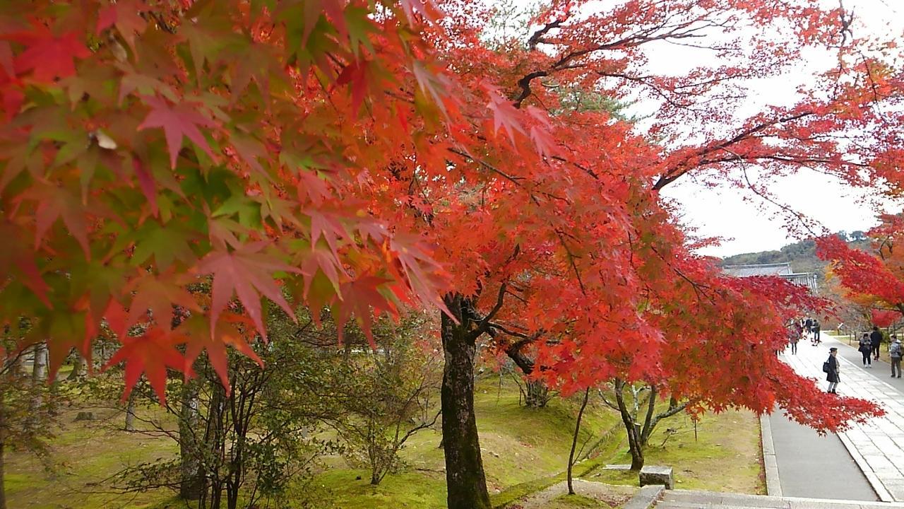 Le Blanc Hotel Kyoto Bagian luar foto